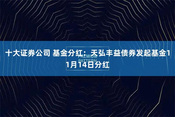 十大证券公司 基金分红：天弘丰益债券发起基金11月14日分红